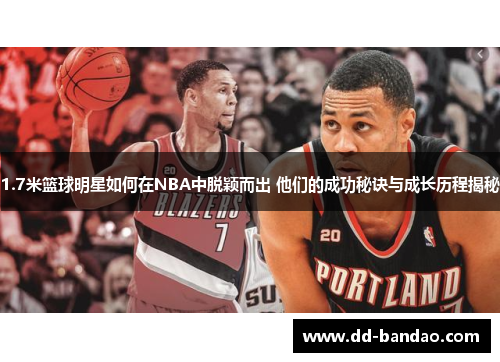 1.7米篮球明星如何在NBA中脱颖而出 他们的成功秘诀与成长历程揭秘