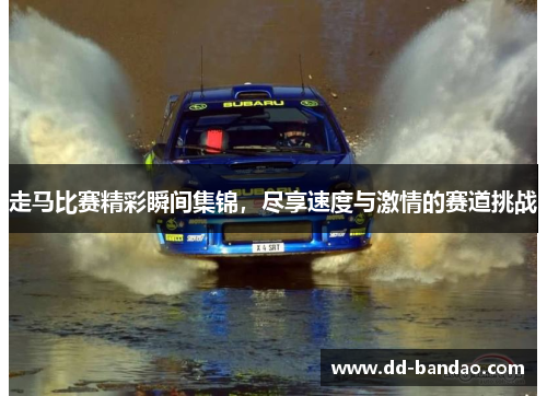 走马比赛精彩瞬间集锦，尽享速度与激情的赛道挑战